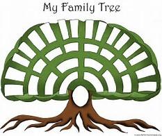 My Family Tree 