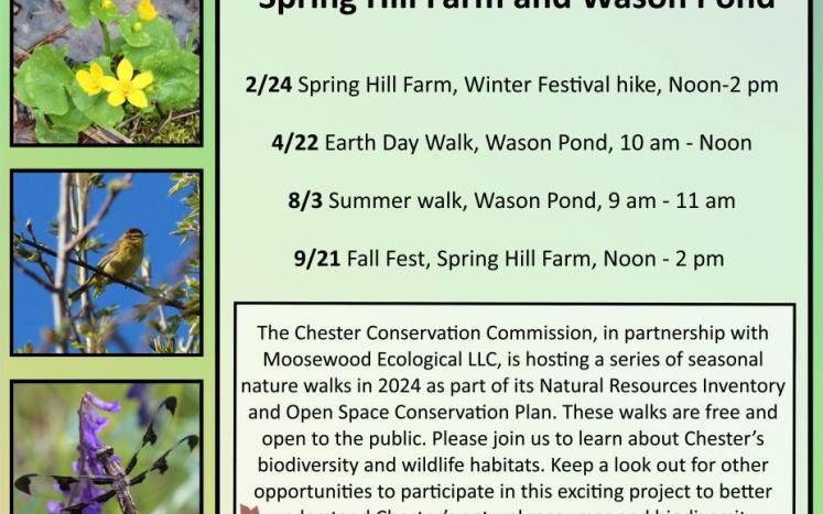 Flyer with walk dates